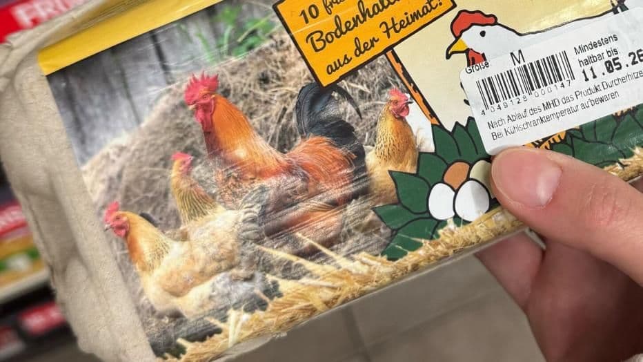 ออสเตรียตรวจสอบฉลากบรรจุภัณฑ์ไข่ไก่นำเข้า หลังถูกวิจารณ์อาจทำผู้บริโภคเข้าใจผิด