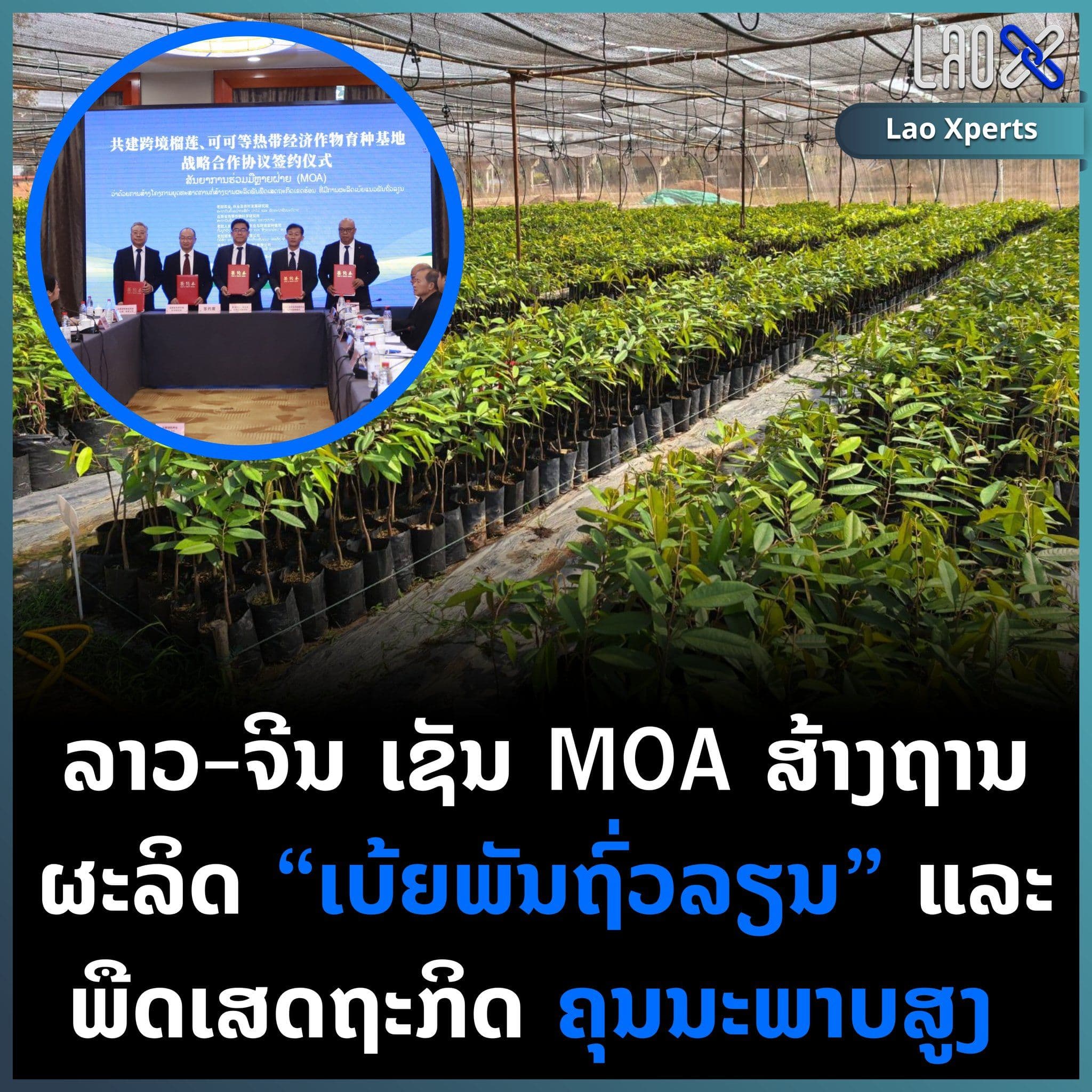 ลาว–จีน ลงนาม บันทึกความตกลง (MOA) เพื่อสร้างฐานการผลิต กล้าต้นพันธุ์ทุเรียน และ พืชเศรษฐกิจคุณภาพสูง