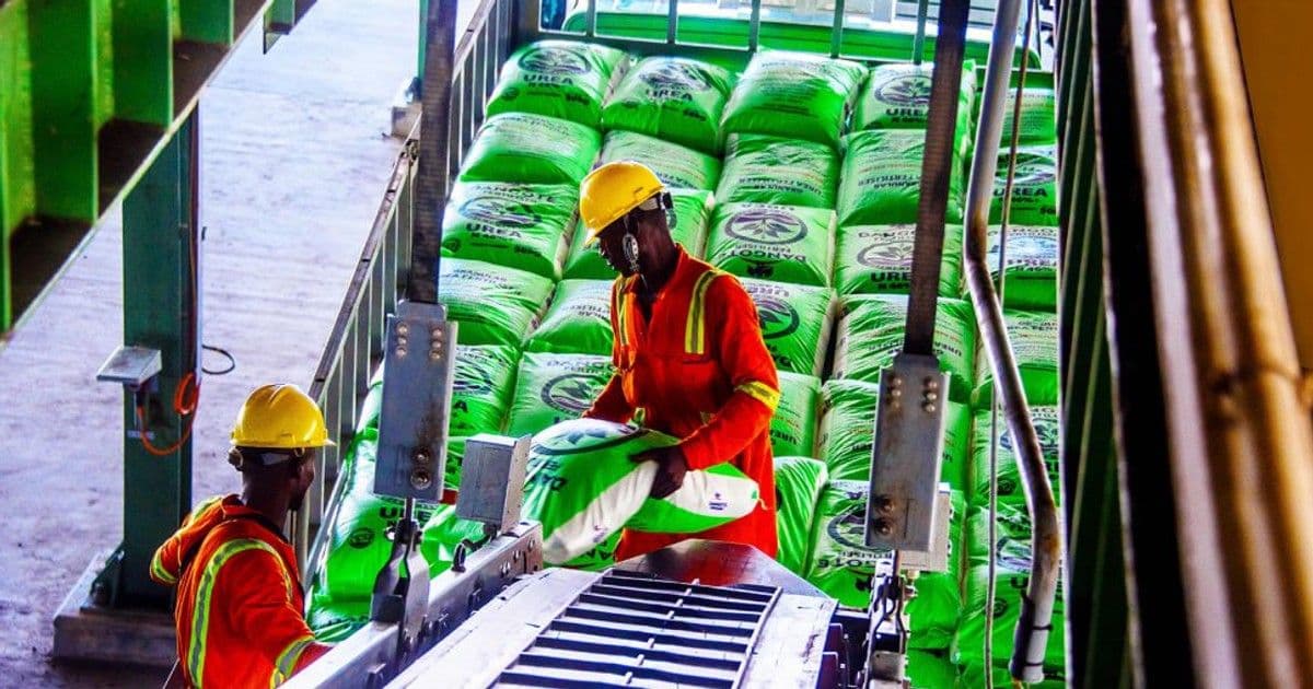 โครงการโรงปุ๋ยในเอธิโอเปียของบริษัท Dangote ความหวังการพัฒนาด้านการเกษตรของแอฟริกาตะวันออก