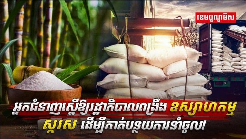 ผู้เชี่ยวชาญแนะกัมพูชาเร่งฟื้นอุตสาหกรรมน้ำตาล