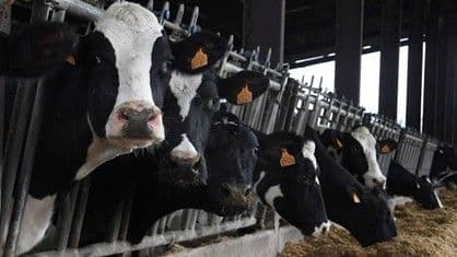 ฝรั่งเศสนำเข้าสินค้าเกษตรเพิ่มสูงขึ้นอย่างต่อเนื่อง