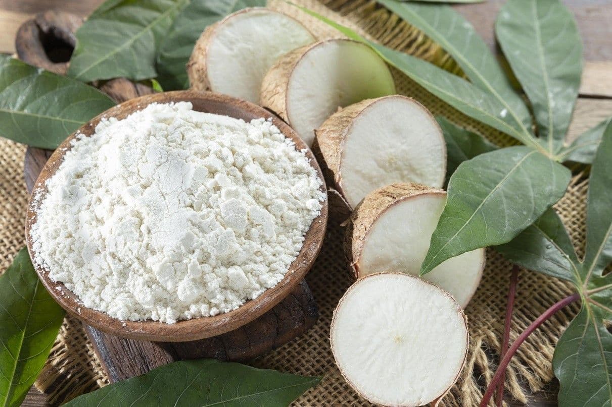 สมาคมแป้งมันสำปะหลังไทยรุกตลาดจีนตะวันตก โชว์ศักยภาพสินค้าเกษตรคุณภาพสูง ดันส่งออกสู่ตลาดใหม่ศักยภาพ