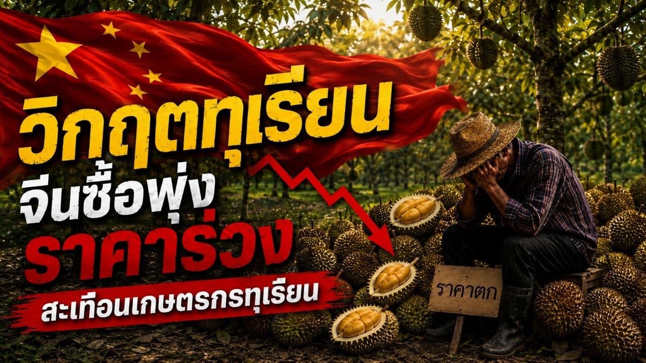 วิกฤตทุเรียนล้นตลาด! จีนซื้อพุ่ง แต่ราคาร่วง สะเทือนเกษตรกรทุเรียน ทั่วเอเชียตะวันออกเฉียงใต้