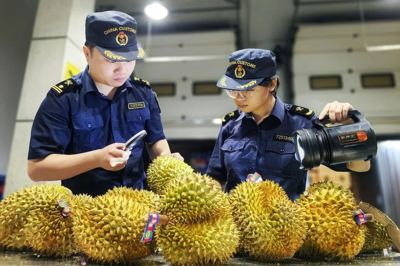 ทุเรียนกัมพูชาล็อตแรกผ่านด่านตงซิงเข้าสู่จีน สะท้อนการแข่งขันตลาดทุเรียนจีนที่เข้มข้นขึ้น