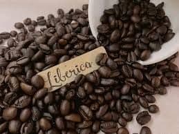 บริษัทธุรกิจการเกษตรของไนจีเรียคว้าข้อตกลงกาแฟมูลค่า 60 ล้านดอลลาร์สหรัฐในไลบีเรีย