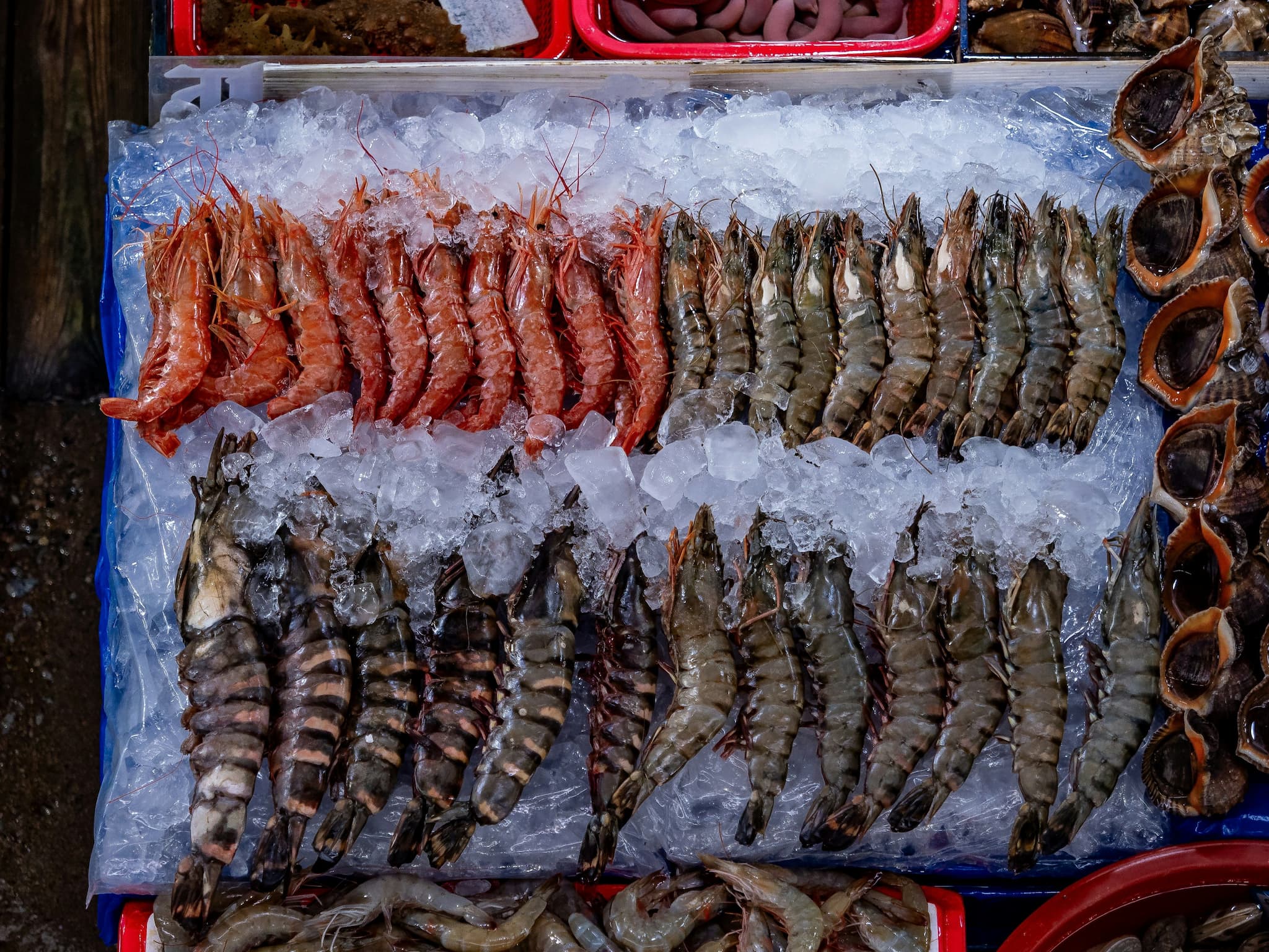 ตลาดกุ้งอิตาลีเปลี่ยนเกม จากแข่งขันด้านราคา สู่แข่งขันด้านความยั่งยืน