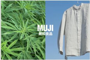 บทความทางการค้า “ตลาดกัญชง (Hemp) ในประเทศญี่ปุ่น”