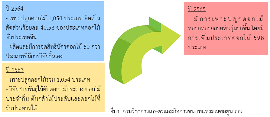 เจาะลึกอุตสาหกรรมดอกไม้มณฑลยูนนาน