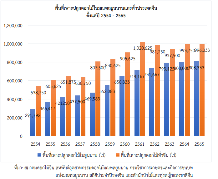 เจาะลึกอุตสาหกรรมดอกไม้มณฑลยูนนาน