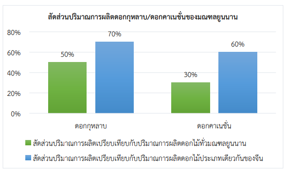 เจาะลึกอุตสาหกรรมดอกไม้มณฑลยูนนาน