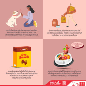 สินค้าอาหารสุนัขในสิงคโปร์