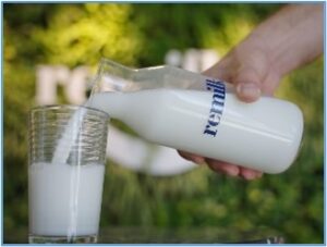 แคนาดาอนุมัติสินค้า Lab-Grown Dairy (ผลิตภัณฑ์นมสังเคราะห์) ครั้งแรกในประวัติศาสตร์ (สคต.โทรอนโต)