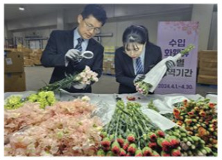 สถานการณ์ของอุตสาหกรรมดอกไม้ในเกาหลีใต้