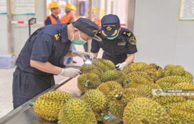 ด่านตงซิง – ด่านนำเข้าส่งออกทางบกศักยภาพ