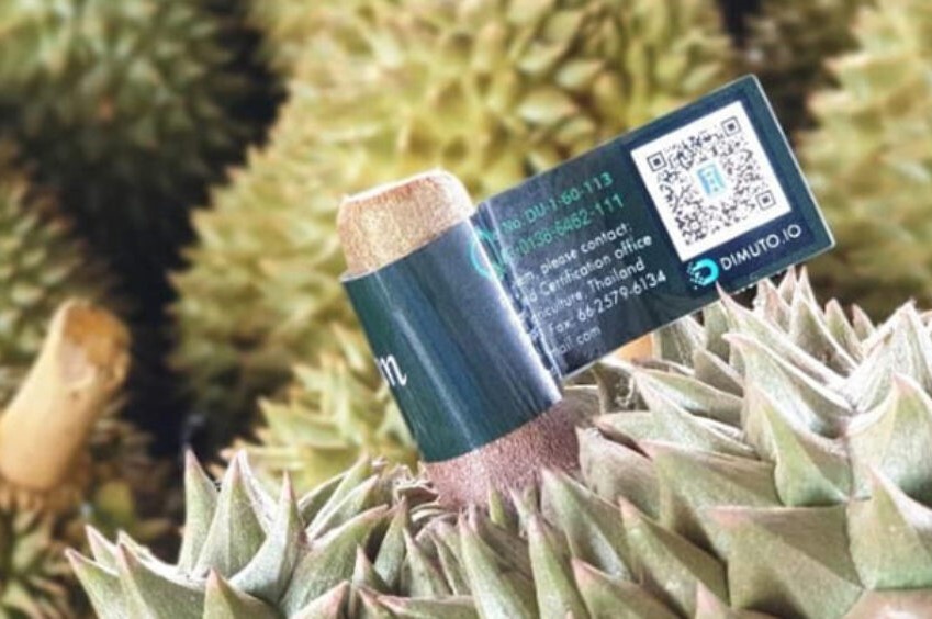รายงานการตลาดผลไม้ไทยในเขตบริหารพิเศษฮ่องกง