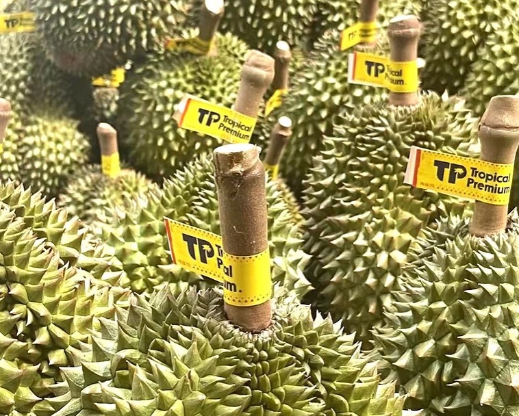 รายงานการตลาดผลไม้ไทยในเขตบริหารพิเศษฮ่องกง