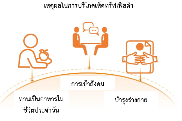 ส่องตลาดเห็ดทรัฟเฟิลดำของจีน สคต.คุนหมิง