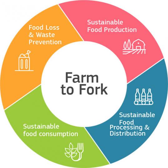 สำรวจงานแสดงสินค้าอาหาร TUTTOFOOD 2025 ณ เมืองมิลาน โอกาสของสินค้าอาหารไทยในตลาดอิตาลี