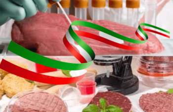 carne-sintetica-2 (2)