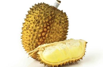 durian cover