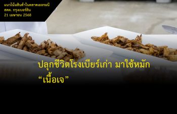 แนวโน้มสินค้าจากเยอรมนี_20250421